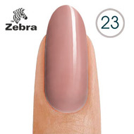 тм Zebra №23