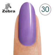 тм Zebra №30