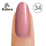 тм Zebra №34