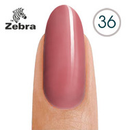 тм Zebra №36