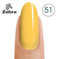 Zebra 51