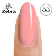 Zebra 53