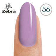 Zebra 56