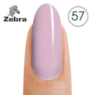 Zebra 57