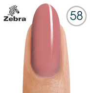 Zebra 58 