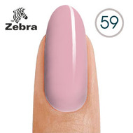 Zebra 59
