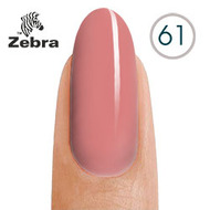 Zebra 61