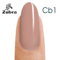 Camouflyge Base  Zebra №1