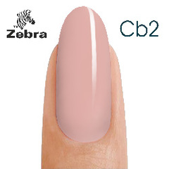 Camouflyge Base  Zebra №2